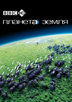 Сериал BBC: Планета Земля (2006)