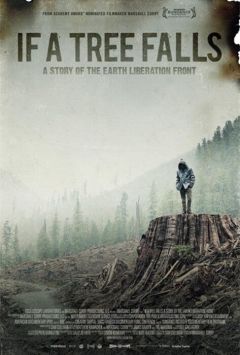 Фильм Если дерево упадет (2011)